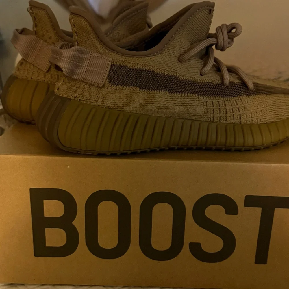 Adidas Yeezy Boost 350 V2 Earth - Picture 2 of 4